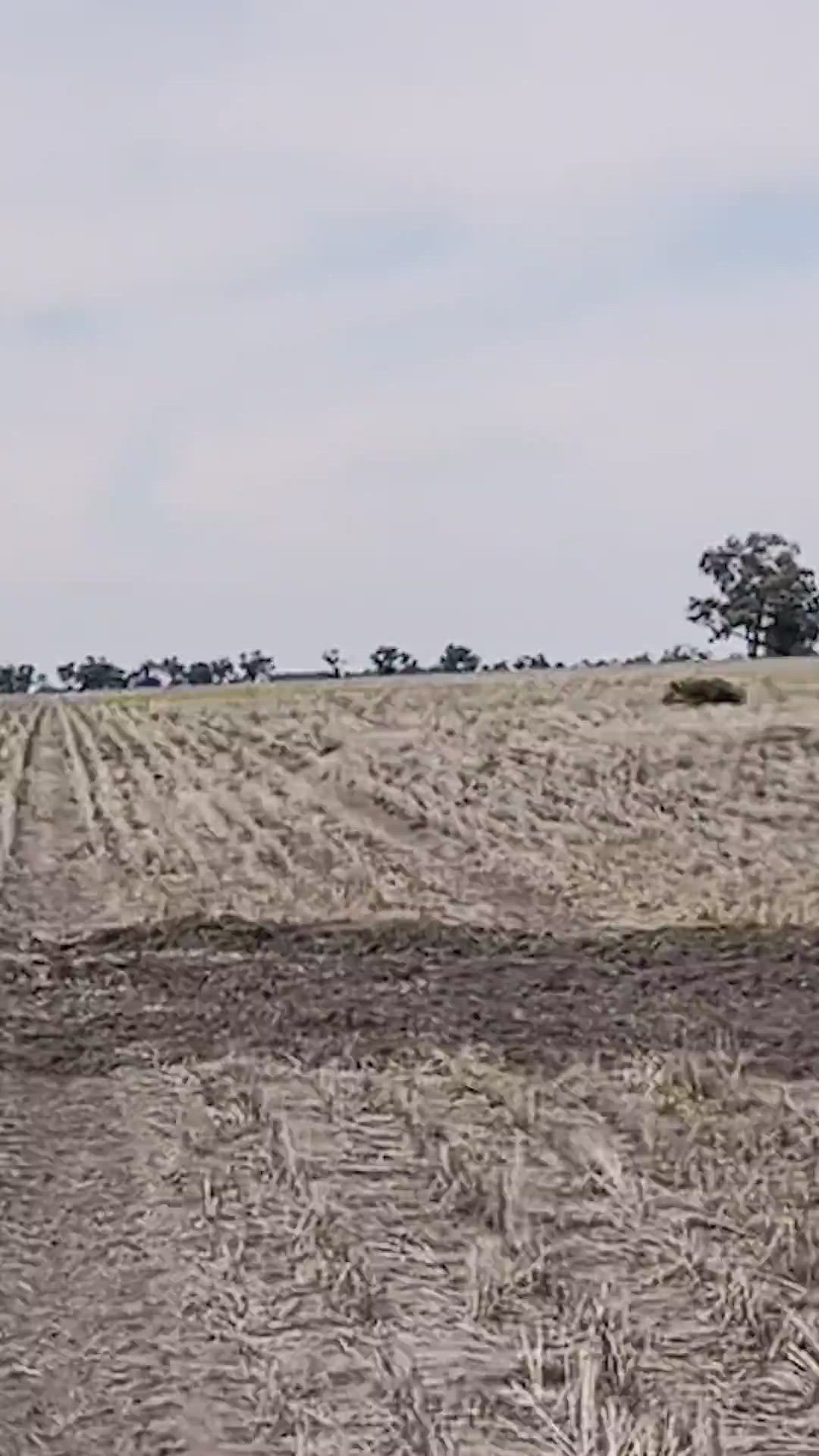 Social clip to check analytics