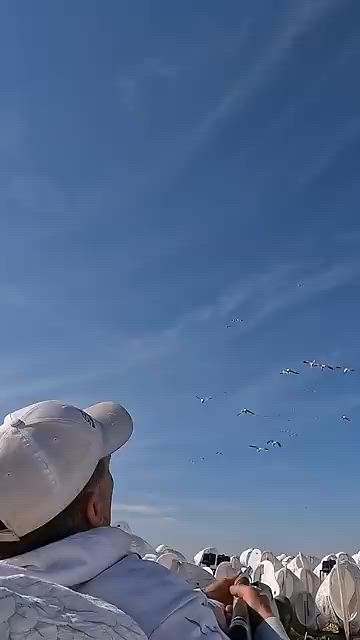 Top Bird Hunting Moments in the Wild