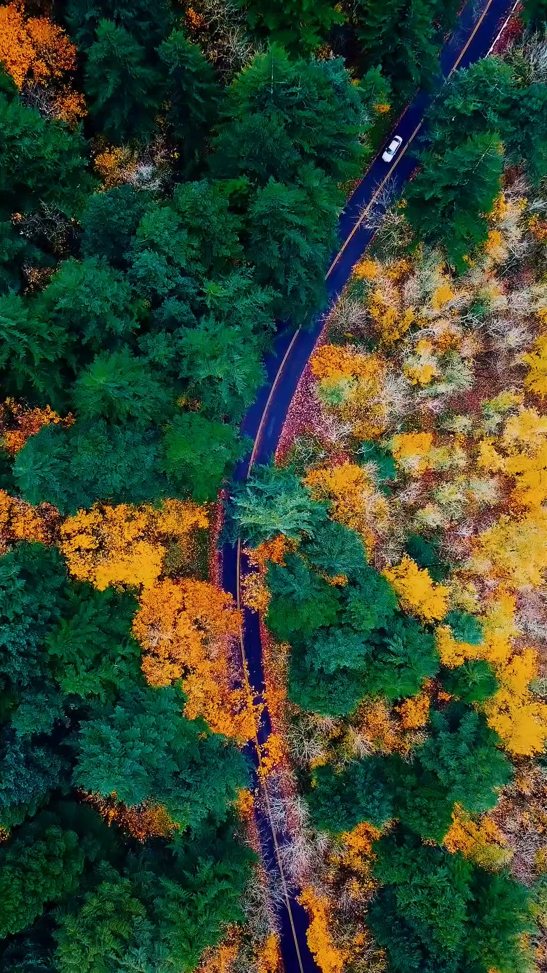 Test Clip to check analytcs