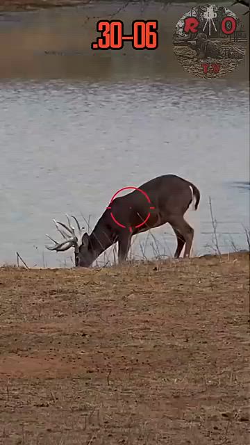 Deer Hunting Adventure | Full Day in the Wild